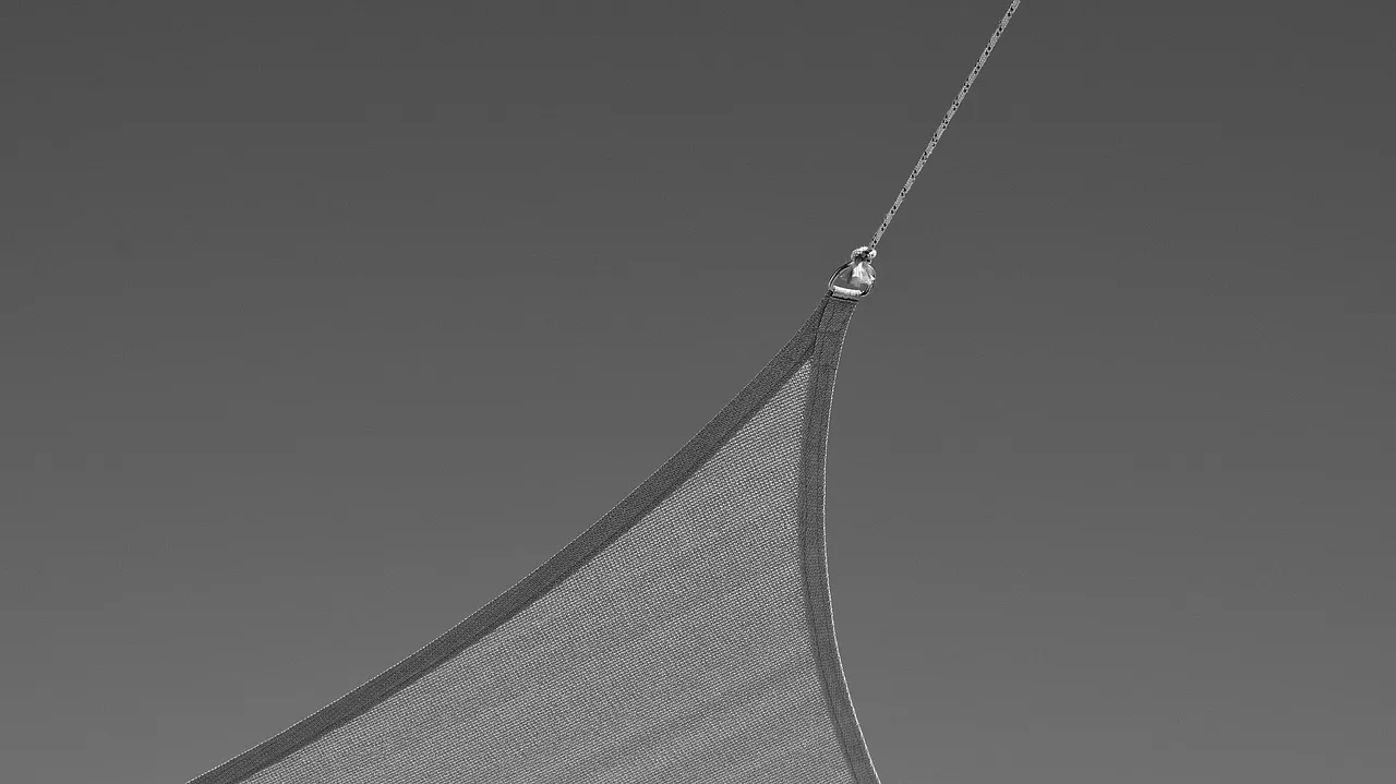 Black and white curve study used in the Nordvik identity system