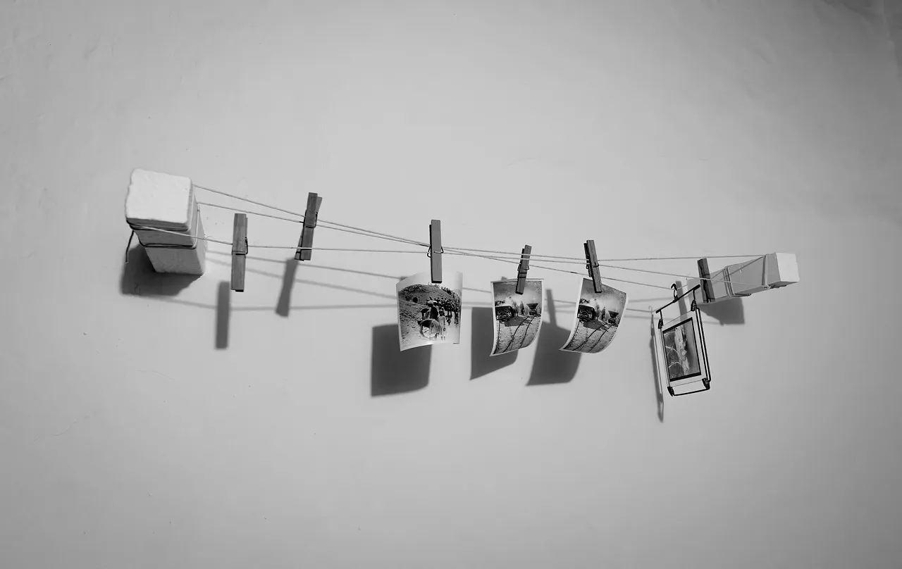 Posters from the Type Riot series printed on a wall
